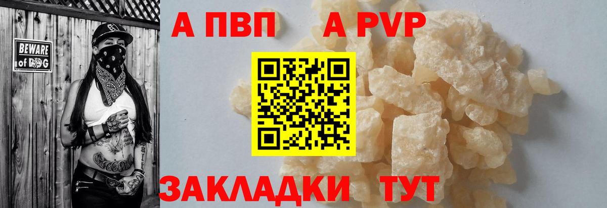 А ПВП крисы CK Благодарный