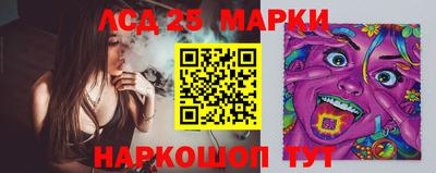дживик Шелехов