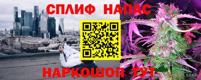 дживик Шелехов