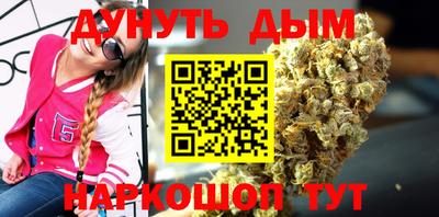 дживик Шелехов