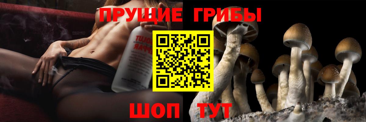 даркнет сайт  Галлюциногенные грибы Cubensis  Вход с VPN  Благодарный 